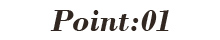 Point:01
