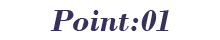 Point:01