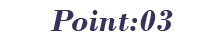 Point:03