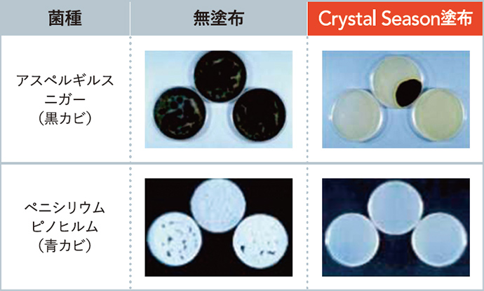 JIS R 1705:2008に準拠した抗カビ性試験