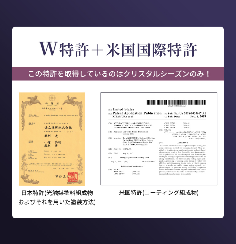 W特許+米国国際特許