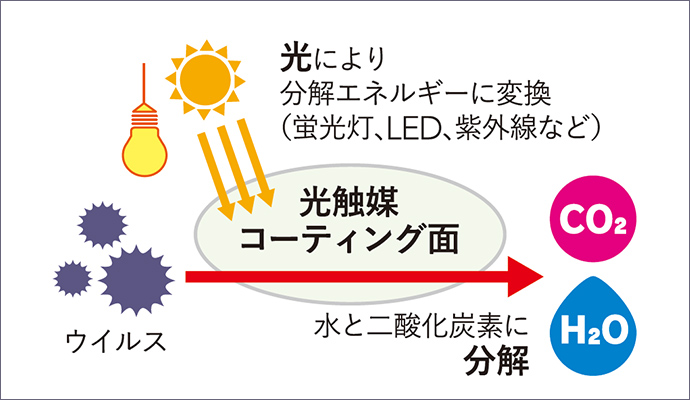 抗菌・抗ウイルス
