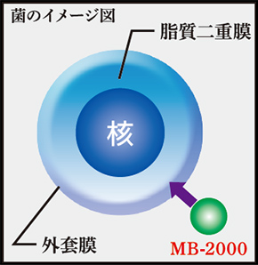 プロテクト機能