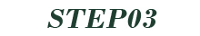 STEP03