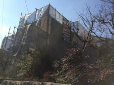 20170420tsama-cyu02.jpg