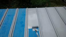 20170521msama-cyu10.jpg