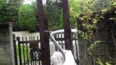 20170521msama-cyu26.jpg