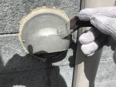 20180623msama-cyu-futai22.JPG