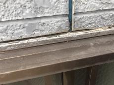 20180623msama-cyu25.JPG