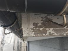 20180623msama-cyu28.JPG