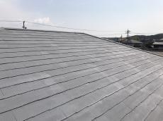 20180623msama-cyu39.JPG