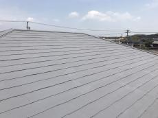 20180623msama-cyu41.JPG