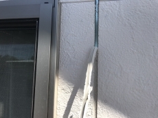 20180915hsama-cyu11.JPG