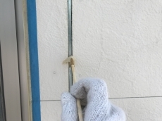 20180915hsama-cyu13.JPG