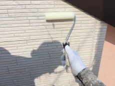 20180915hsama-cyu31.JPG