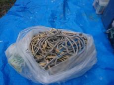 2018128 ksama-cyu21.JPG