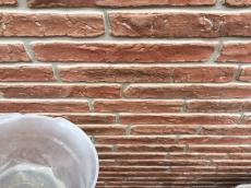 2018128 ksama-mae06.JPG