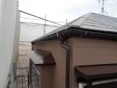 20190310ysama-cyu-amado01.JPG