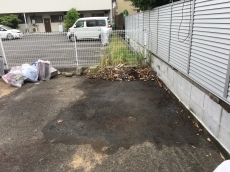 20190310ysama-cyu06.JPG