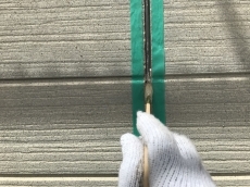 20190310ysama-cyu22.JPG