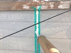 20190310ysama-cyu24.JPG