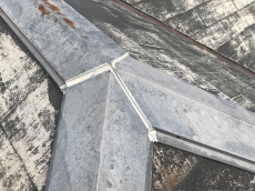20190310ysama-cyu37.JPG