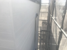 20190310ysama-cyu55.JPG