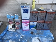 20190310ysama-cyu67.JPG