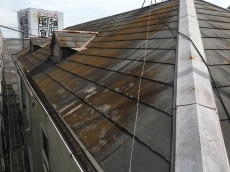 20190310ysama-mae29.JPG