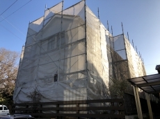 20200311ksama-cyu05.JPG