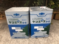 20200311ksama-cyu38.JPG