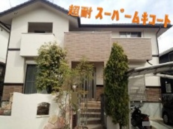 無機クリヤーで模様を残し、帯やハフはビターチョコアクセントで決まり！