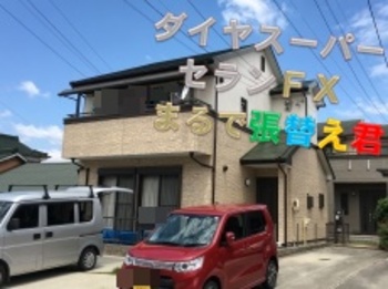 無機塗料とまるで張替え君のコラボ☆張替えたように見えますが、塗装でこの柄を付けれるんです！！