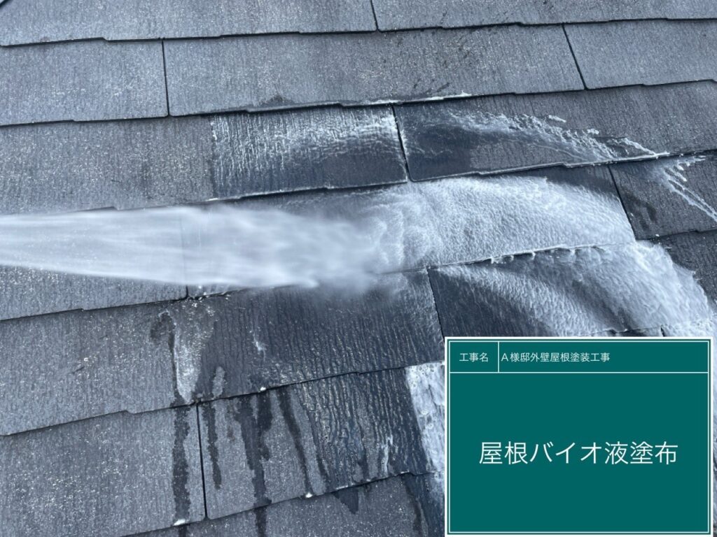 屋根バイオ洗浄