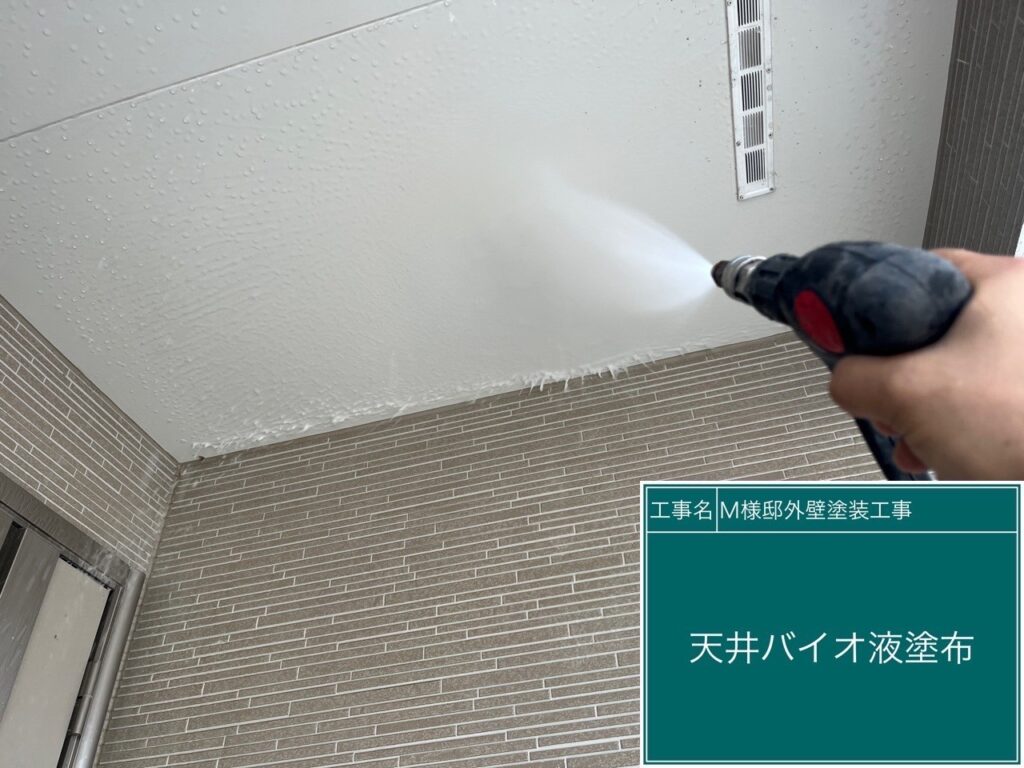 軒天バイオ液塗布