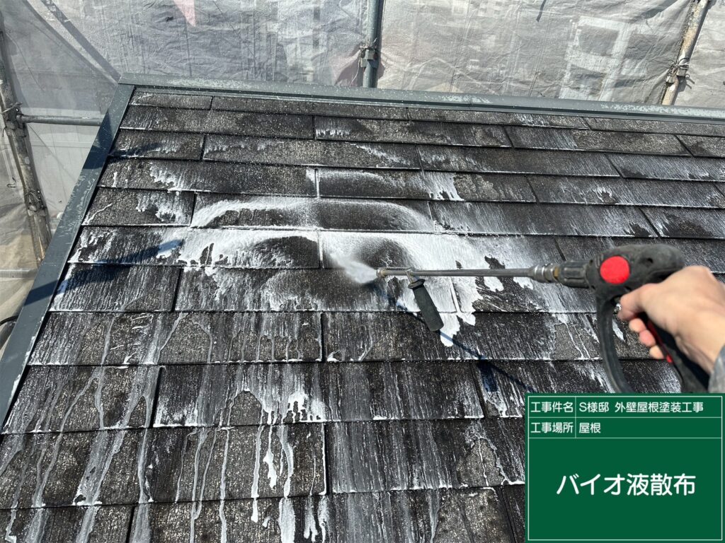 屋根バイオ洗浄