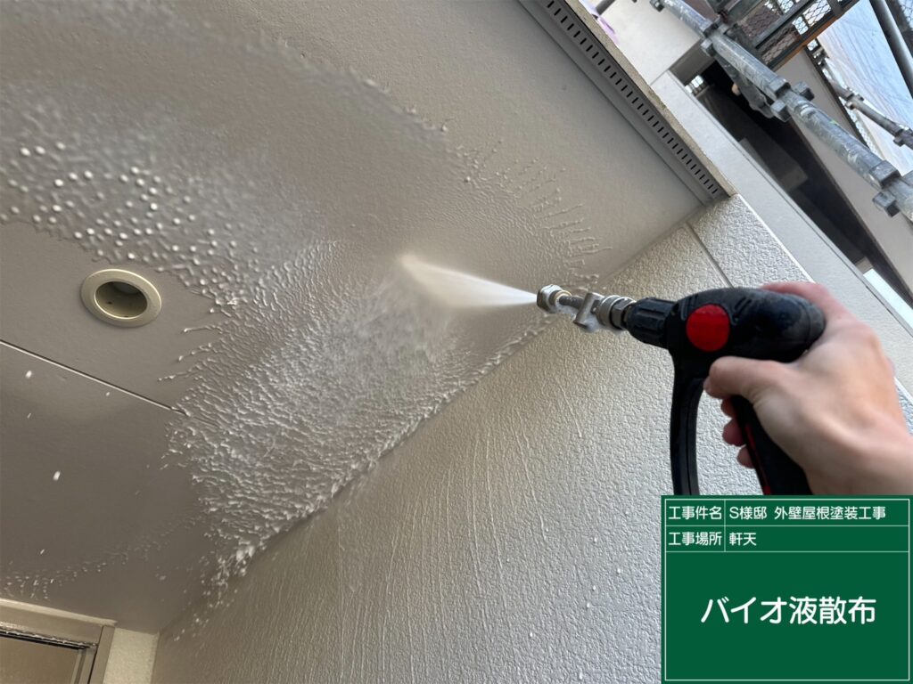 天井バイオ洗浄